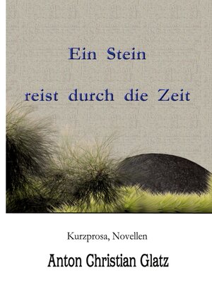 cover image of Ein Stein reist durch die Zeit